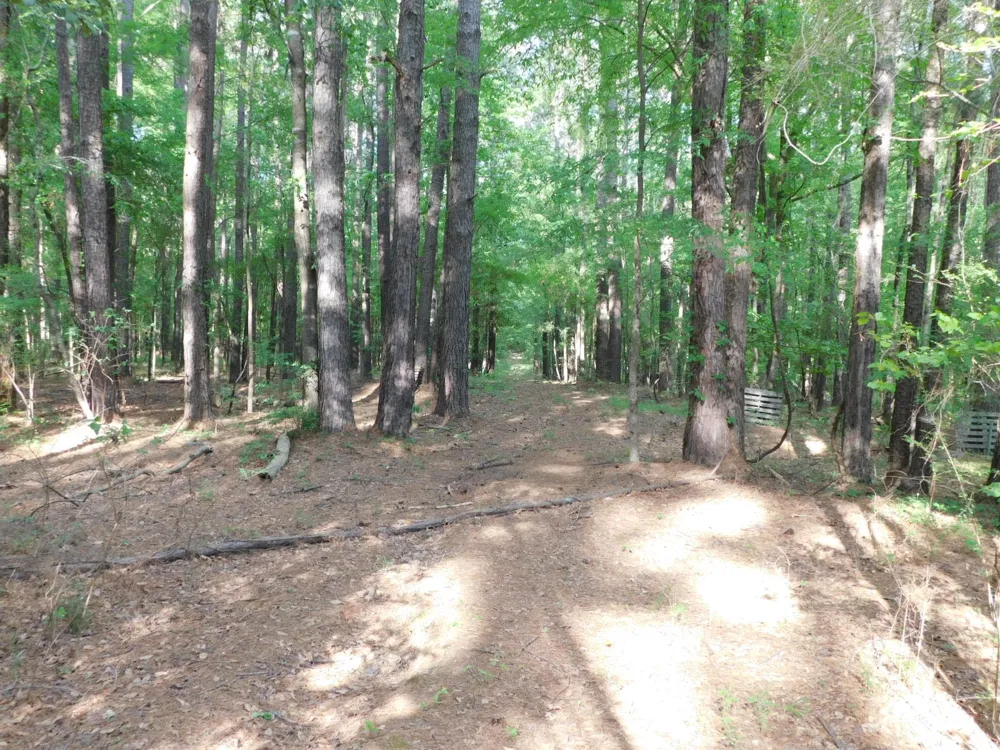 165 Rosewood Road Springhill, LA 71075