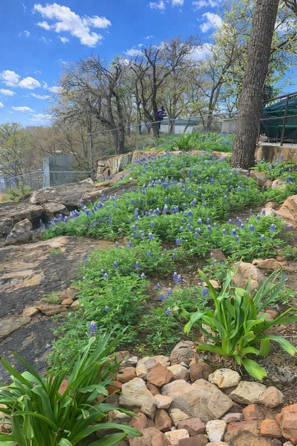302 Kennon Circle Palo Pinto, TX 76484
