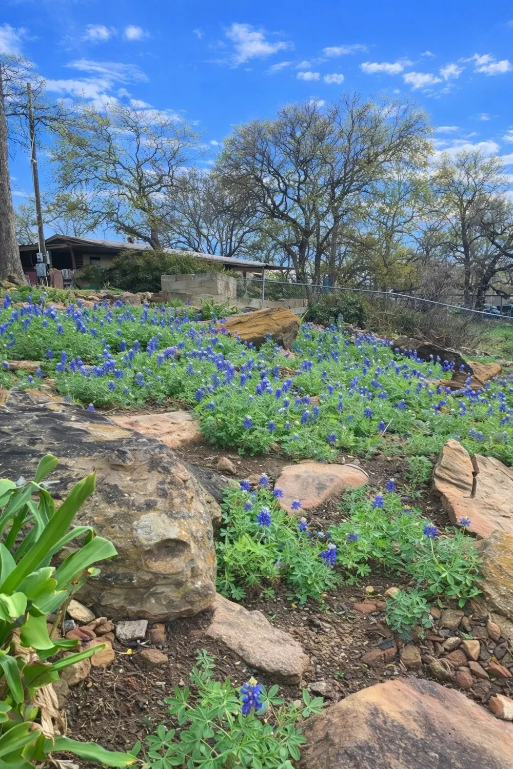 302 Kennon Circle Palo Pinto, TX 76484