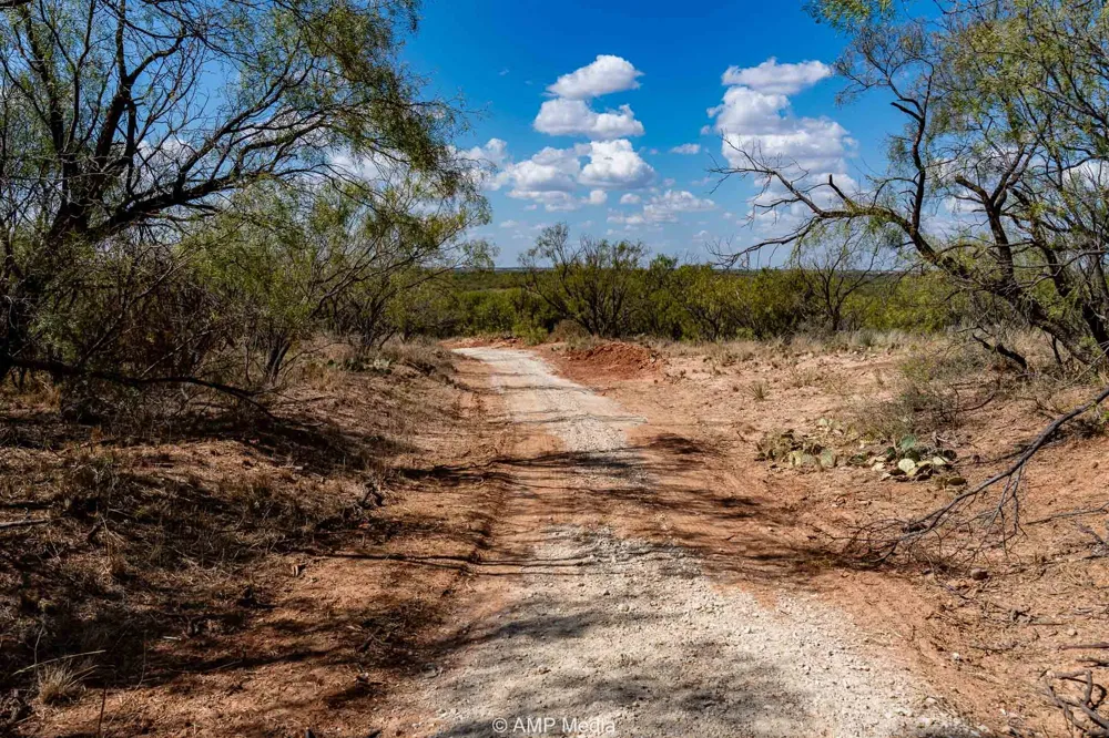 4538 463 Rule, TX 79547