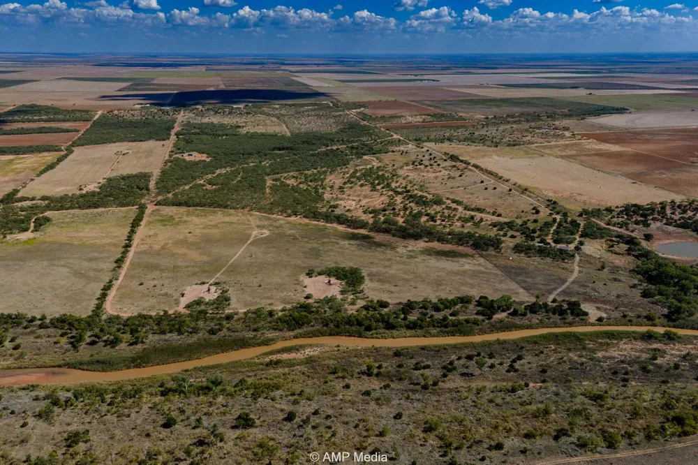 4538 463 Rule, TX 79547