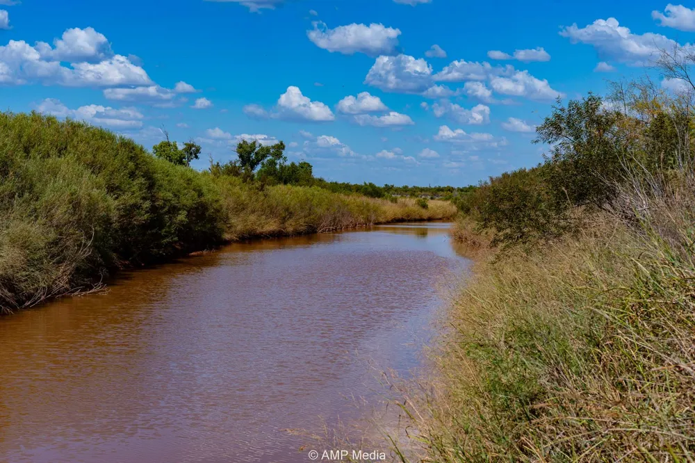 4538 463 Rule, TX 79547