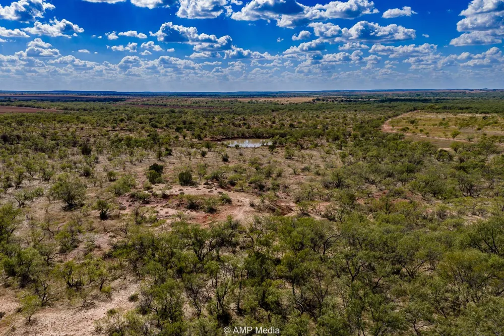 4538 463 Rule, TX 79547