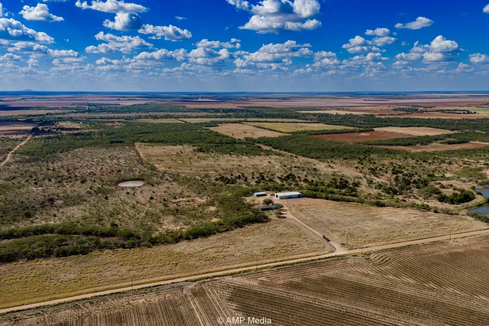 4538 463 Rule, TX 79547