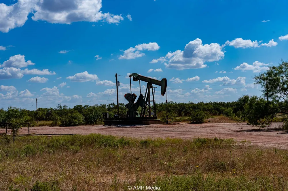 4538 463 Rule, TX 79547
