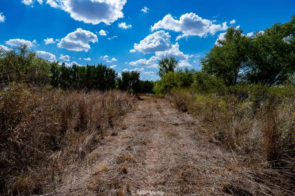 4538 463 Rule, TX 79547