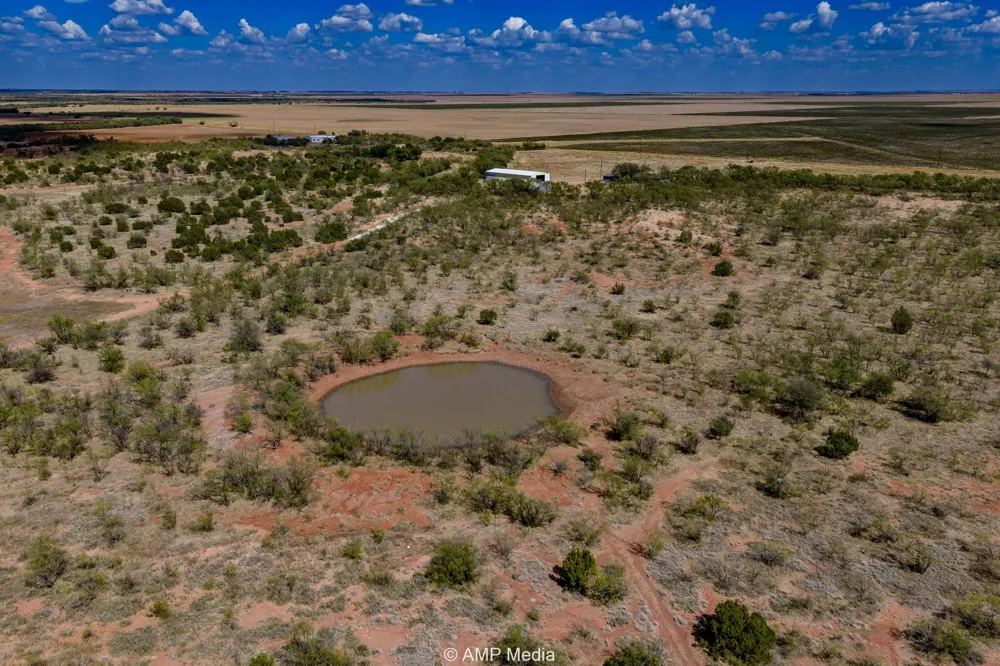 4538 463 Rule, TX 79547