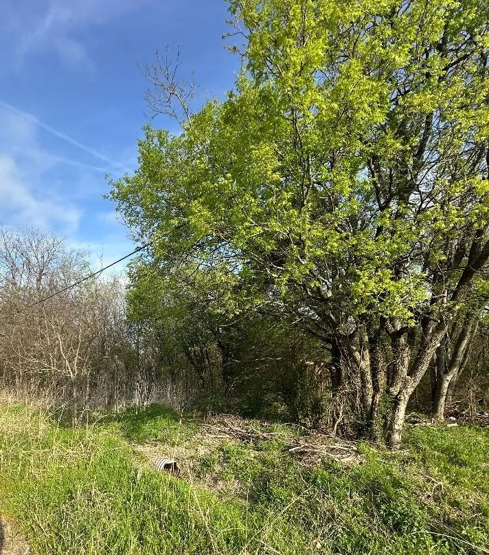 W Main Street Ladonia, TX 75449