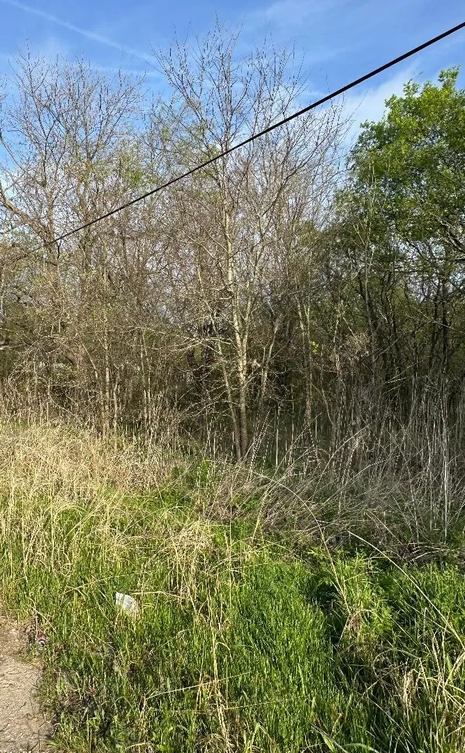 TX-34 Ladonia, TX 75449