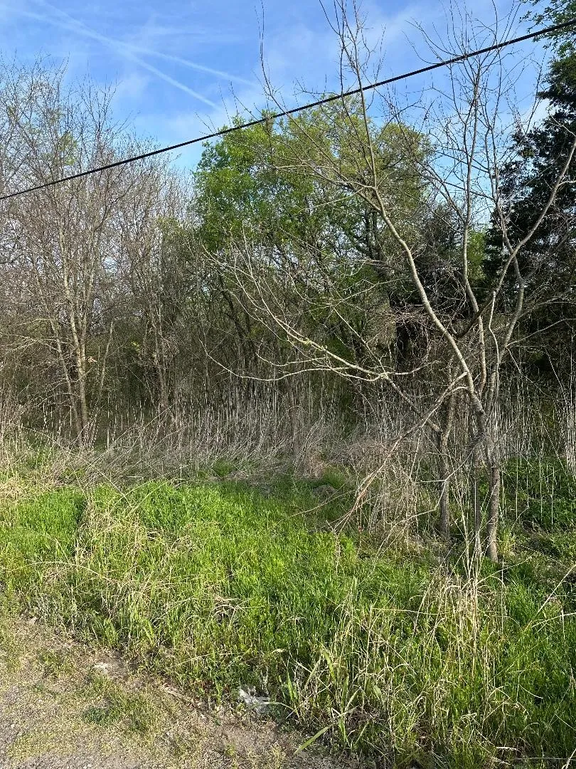806 W Main Street Ladonia, TX 75449