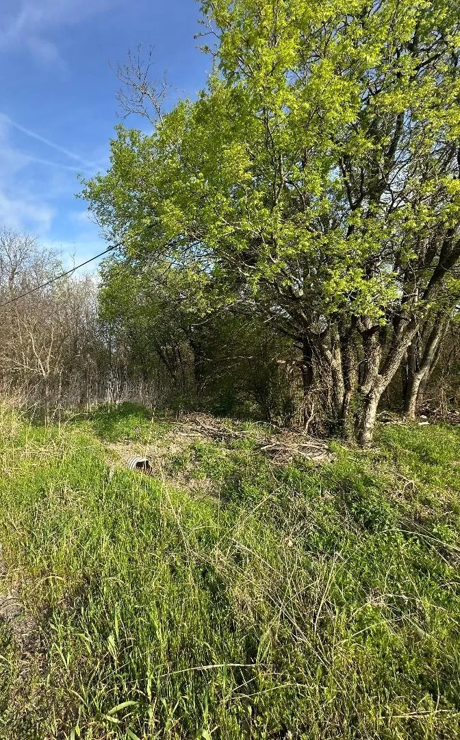 806 W Main Street Ladonia, TX 75449