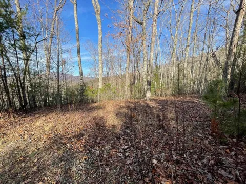 Lot 14 Big Cove Drive