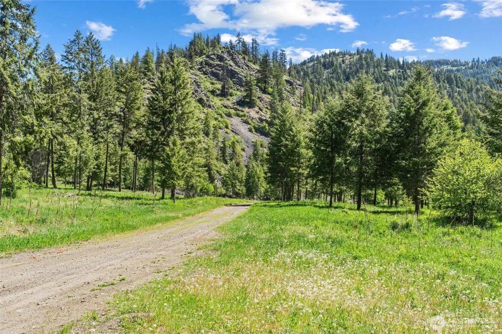361 Lone Ranch Creek Rd Danville, WA 99121