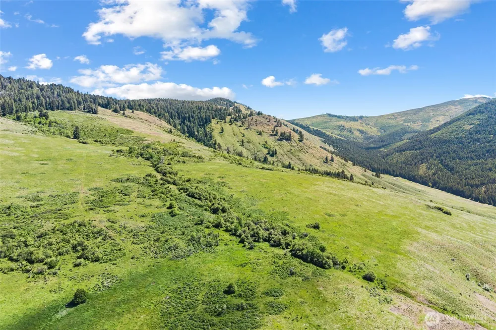 361 Lone Ranch Creek Rd Danville, WA 99121