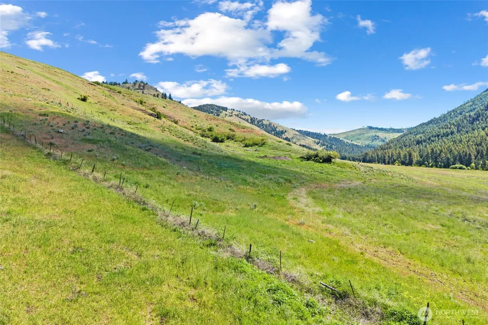 361 Lone Ranch Creek Rd Danville, WA 99121