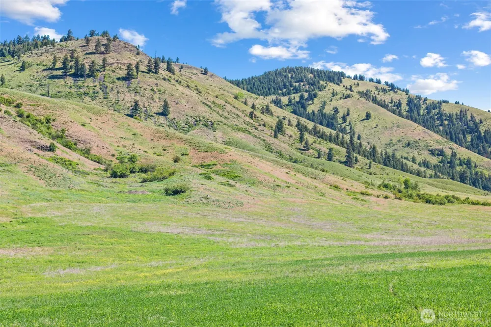 361 Lone Ranch Creek Rd Danville, WA 99121