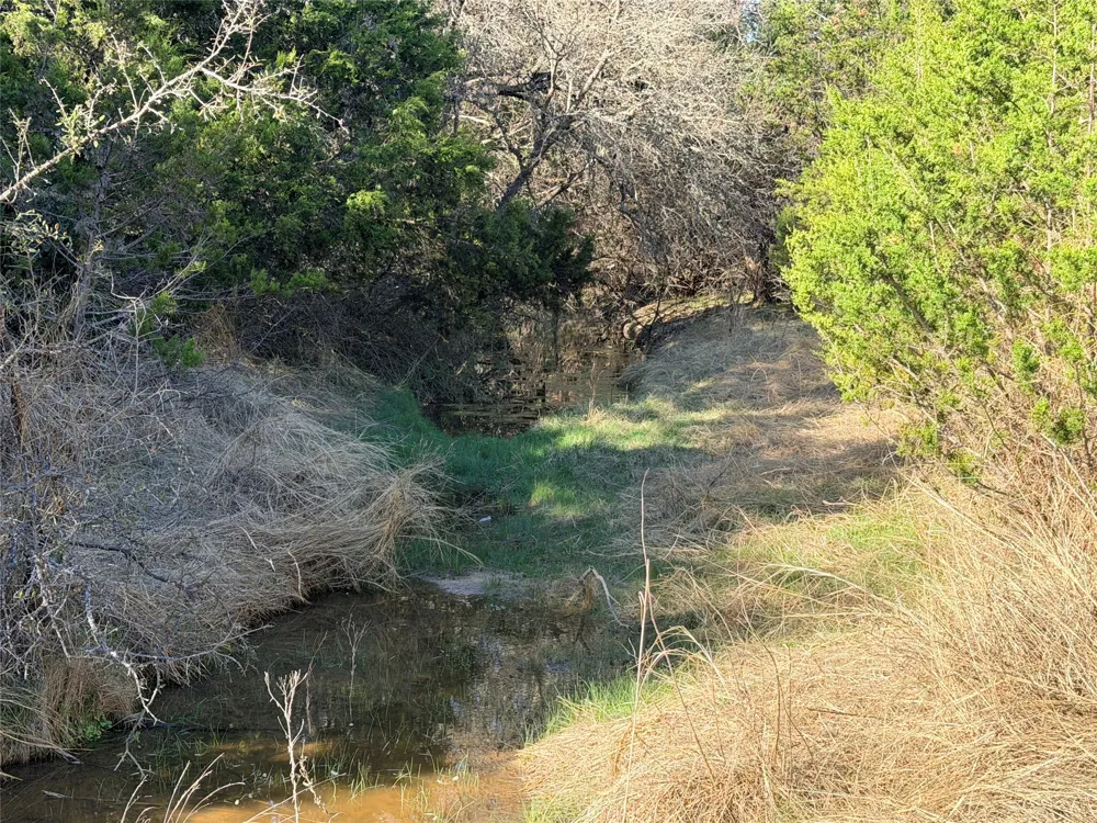 65 CR 406 Goldthwaite, TX 76844