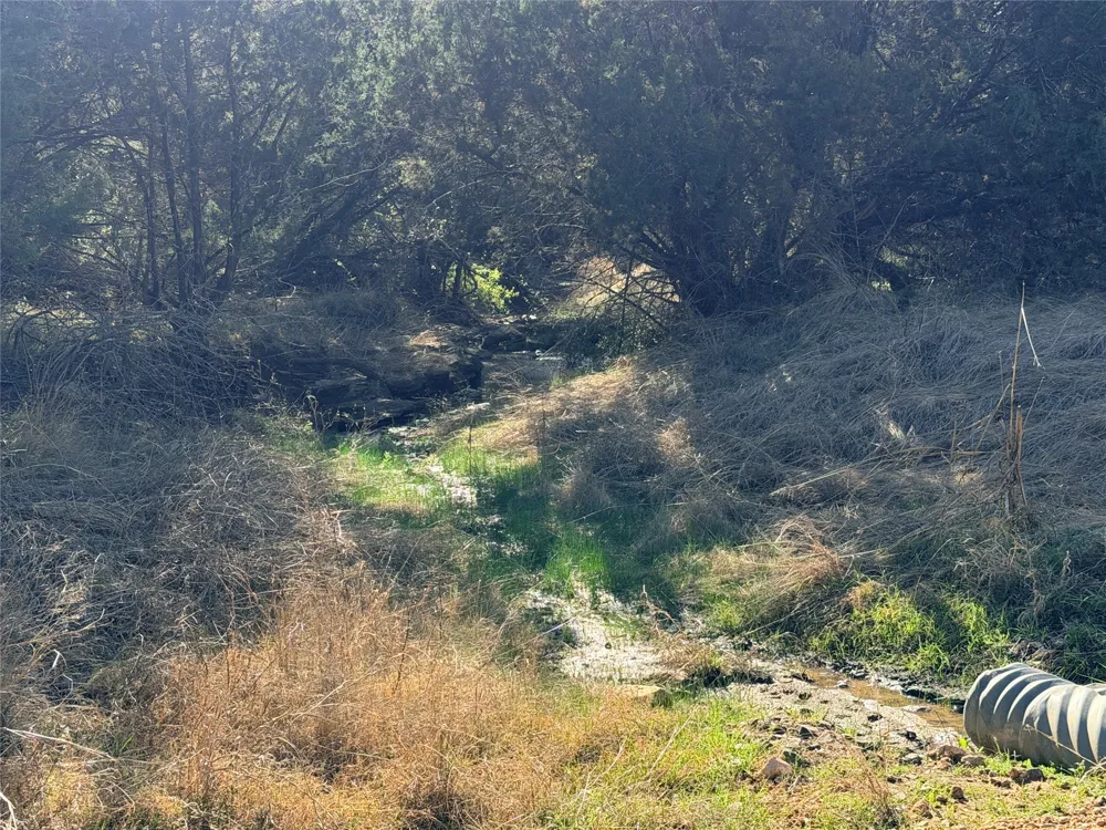 65 CR 406 Goldthwaite, TX 76844