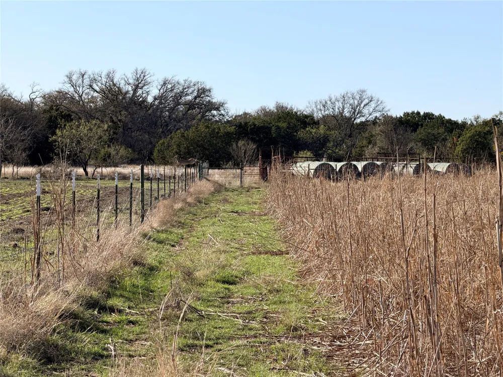 65 CR 406 Goldthwaite, TX 76844