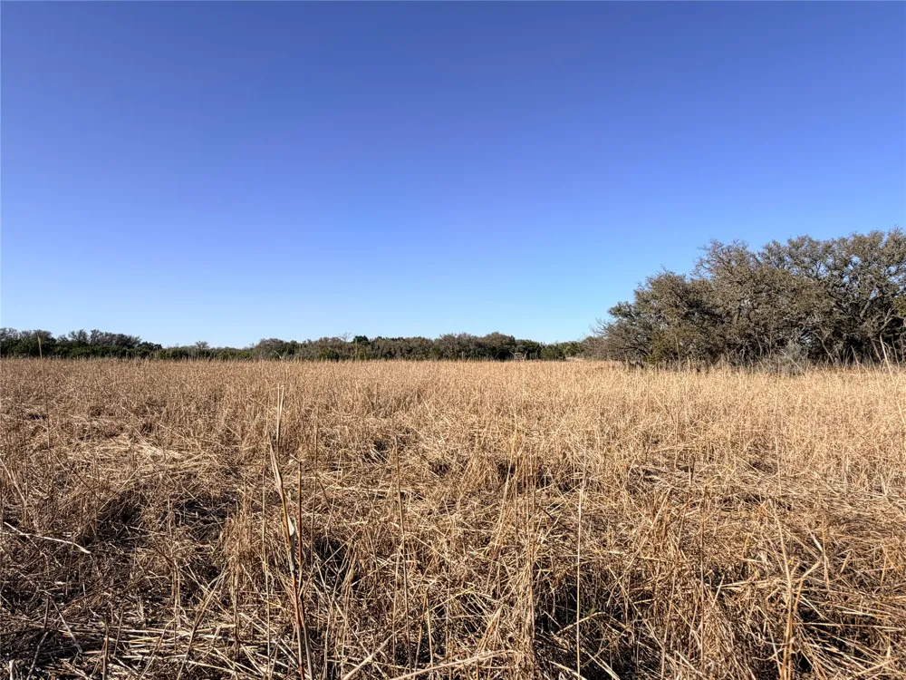 65 CR 406 Goldthwaite, TX 76844