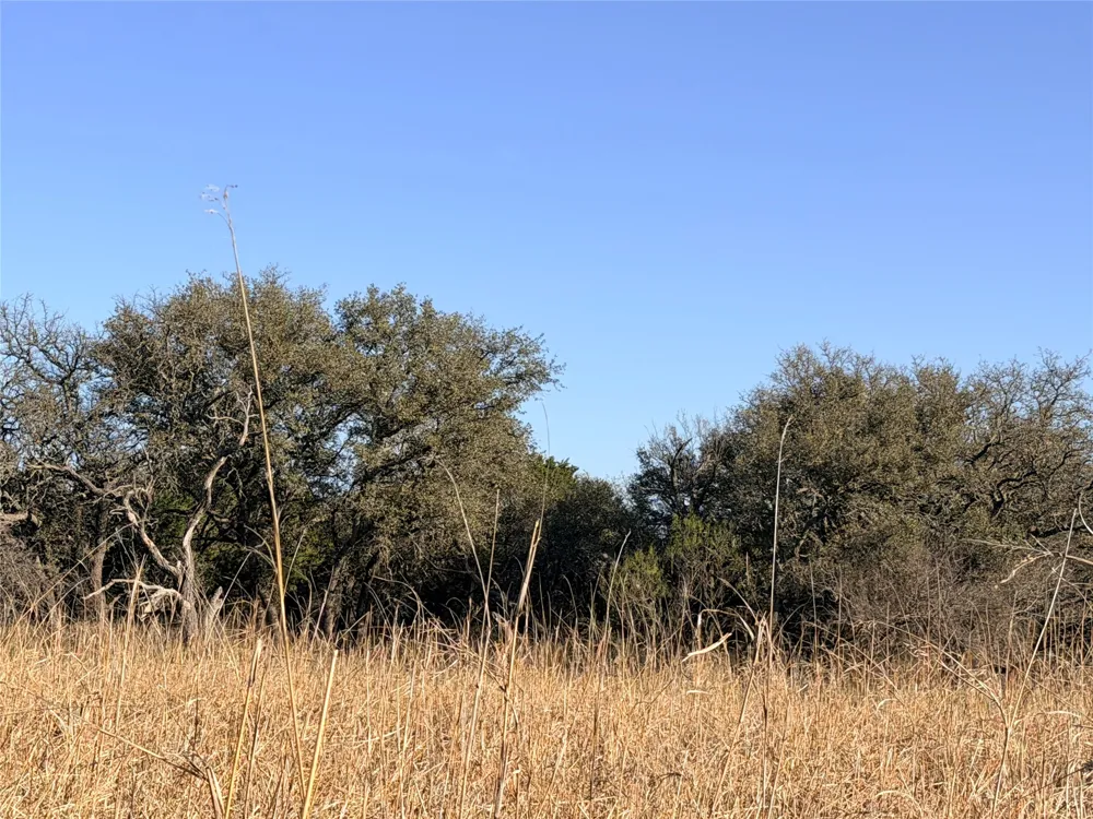 65 CR 406 Goldthwaite, TX 76844
