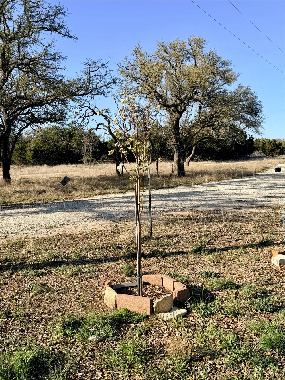 65 CR 406 Goldthwaite, TX 76844