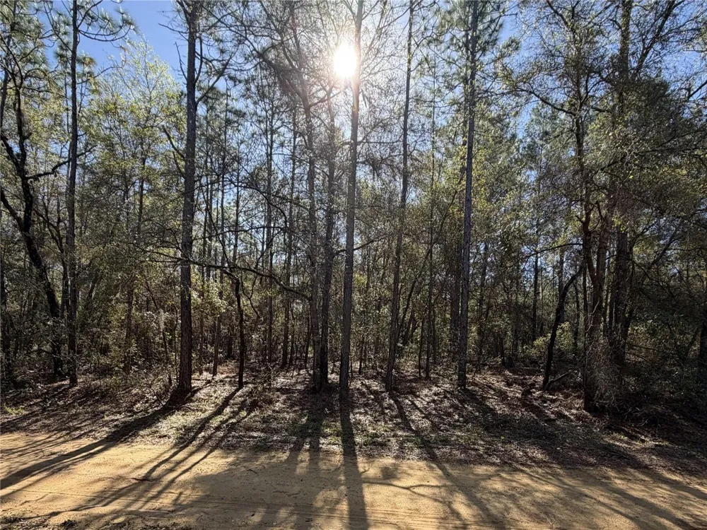 SE 7TH AVENUE Interlachen, FL 32148