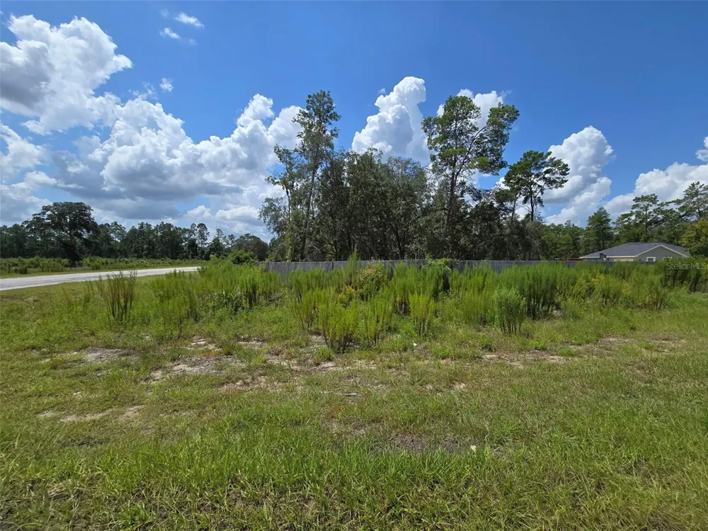 854 FISHER ROAD Ocklawaha, FL 32179