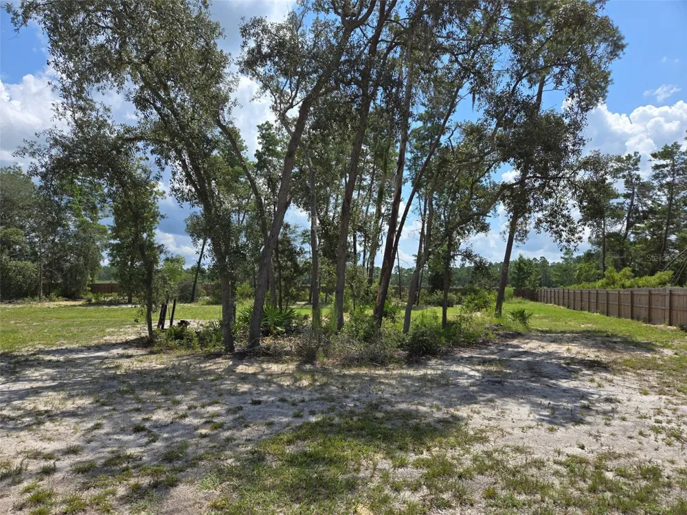 854 FISHER ROAD Ocklawaha, FL 32179