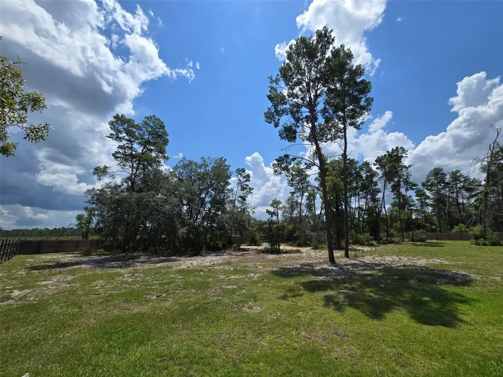 854 FISHER ROAD Ocklawaha, FL 32179
