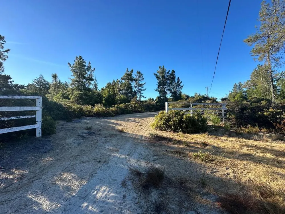 10001 West Drive Felton, CA 95018