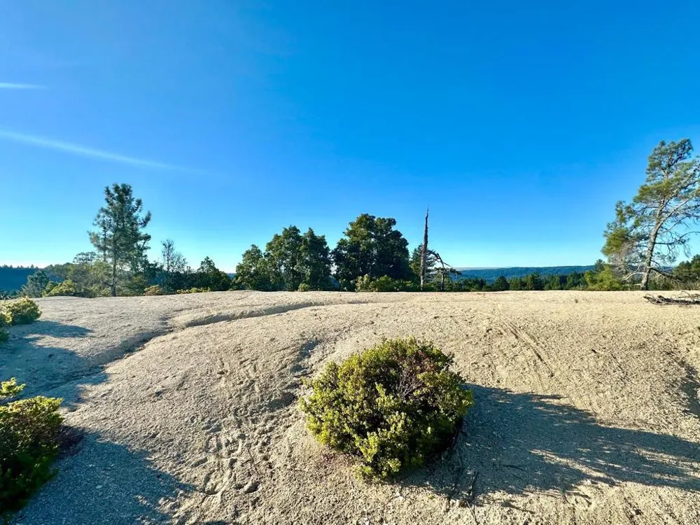 10001 West Drive Felton, CA 95018