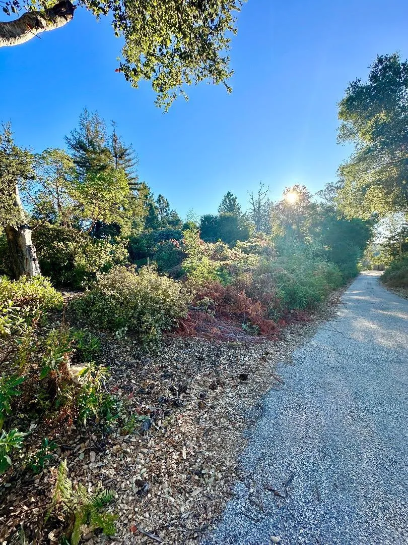 10001 West Drive Felton, CA 95018