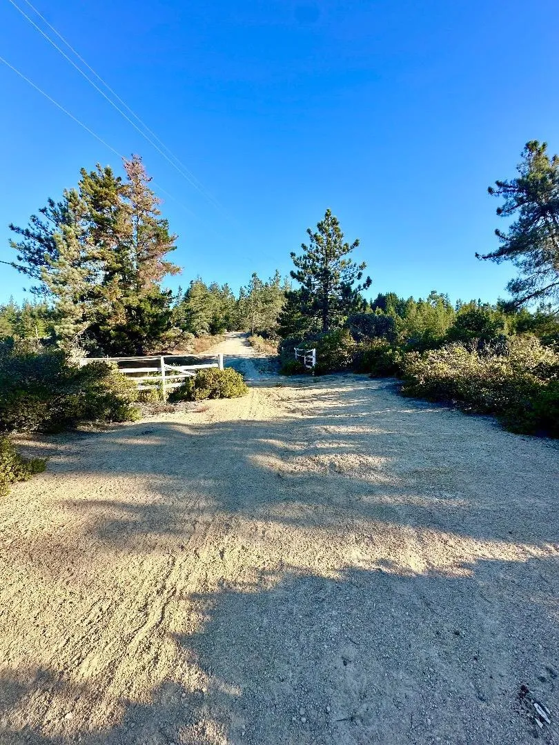 10001 West Drive Felton, CA 95018