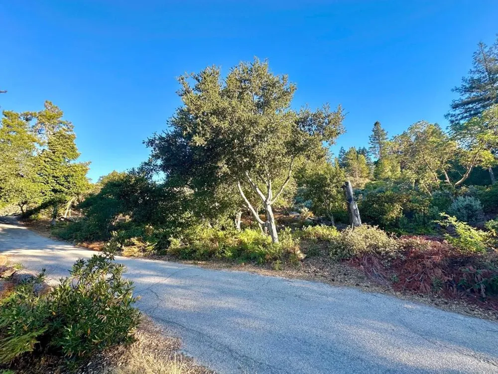 10001 West Drive Felton, CA 95018
