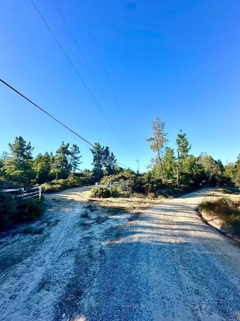 10001 West Drive Felton, CA 95018