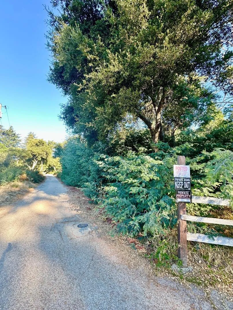 10001 West Drive Felton, CA 95018