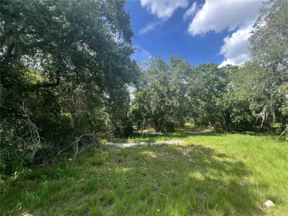 1308 E ALSOBROOK STREET Plant City, FL 33563