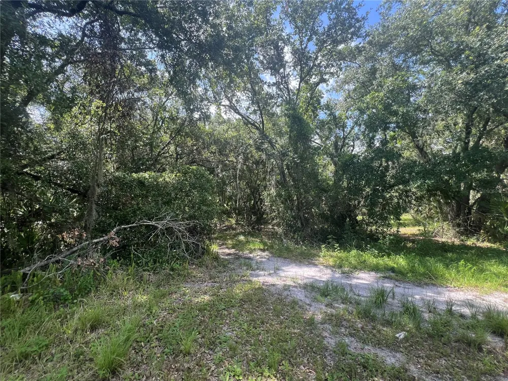 1308 E ALSOBROOK STREET Plant City, FL 33563