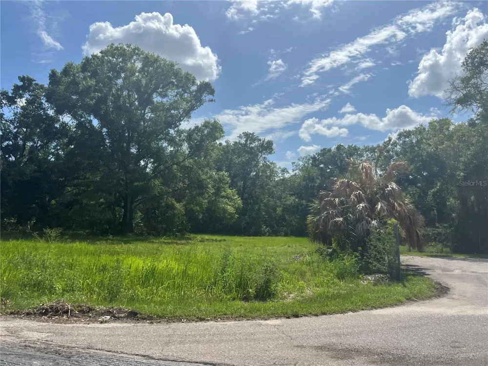 1308 E ALSOBROOK STREET Plant City, FL 33563