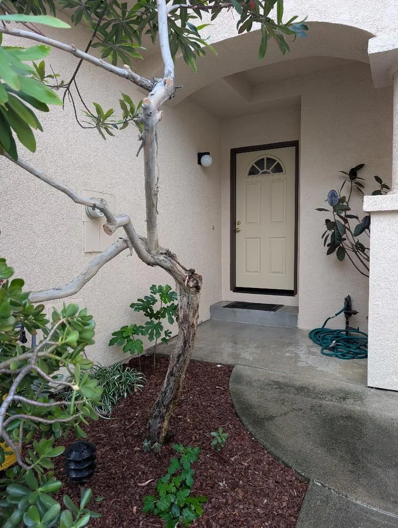 62 Washington Square Drive Milpitas, CA 95035