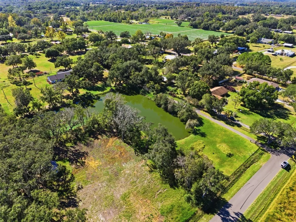 2506 HAWK GRIFFIN ROAD Plant City, FL 33565