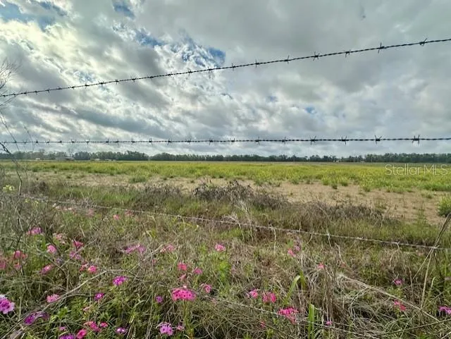 SW 80TH STREET Trenton, FL 32693