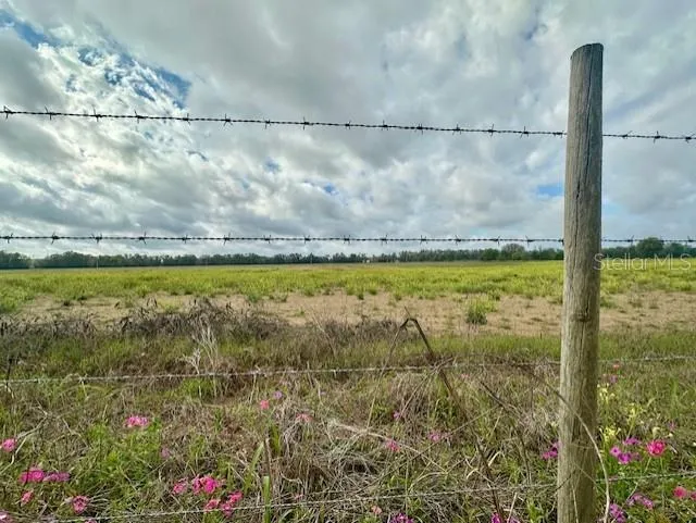 SW 80TH STREET Trenton, FL 32693