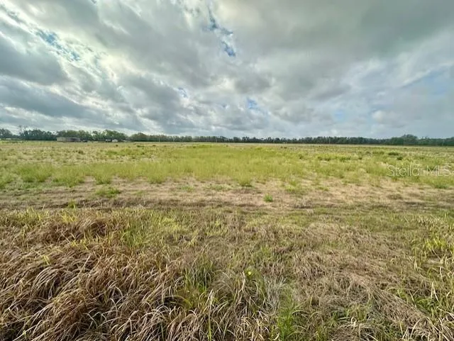 SW 80TH STREET Trenton, FL 32693