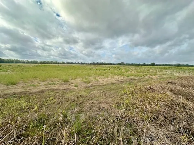 SW 80TH STREET Trenton, FL 32693