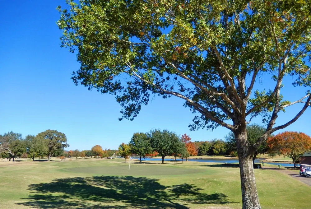 109 Key Allegro Drive Bullard, TX 75757