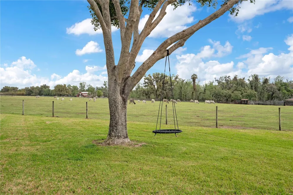 1401 BUELL COURT Plant City, FL 33567
