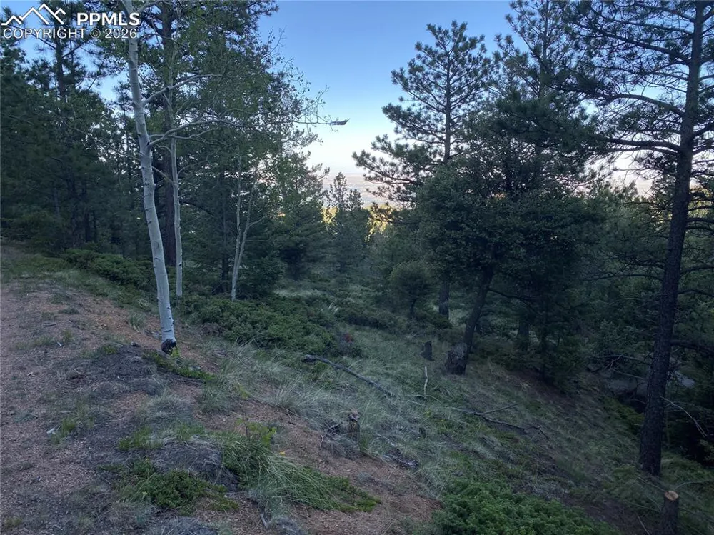 285 Forest Road Manitou Springs, CO 80829