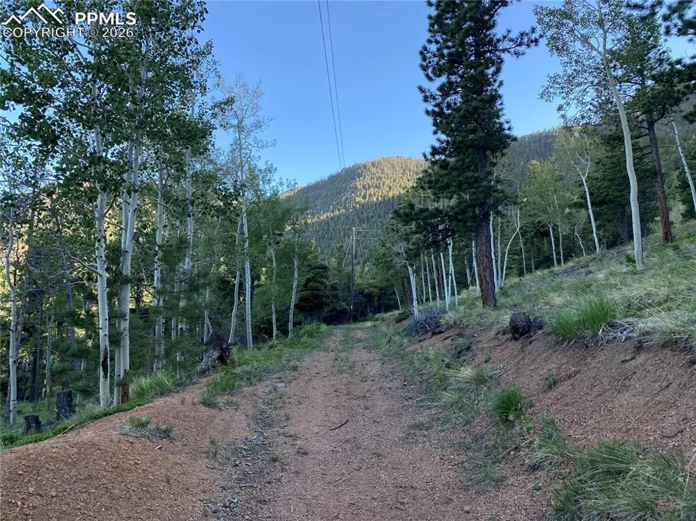 285 Forest Road Manitou Springs, CO 80829
